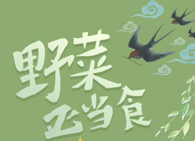 福利plus|野菜正當“食”，當心別采錯了！